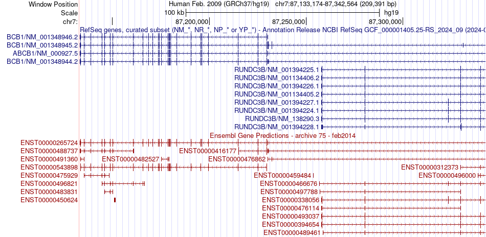 gene isoform structure of ABCB1