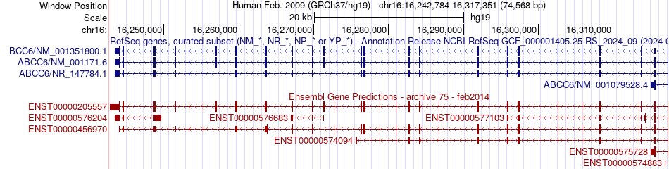 gene isoform structure of ABCC6