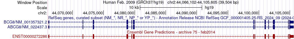 gene isoform structure of ABCG8