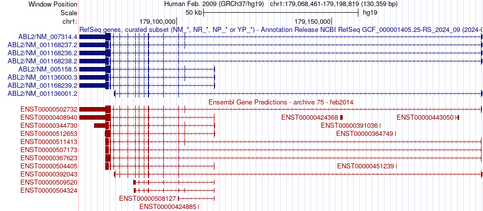 gene isoform structure of ABL2