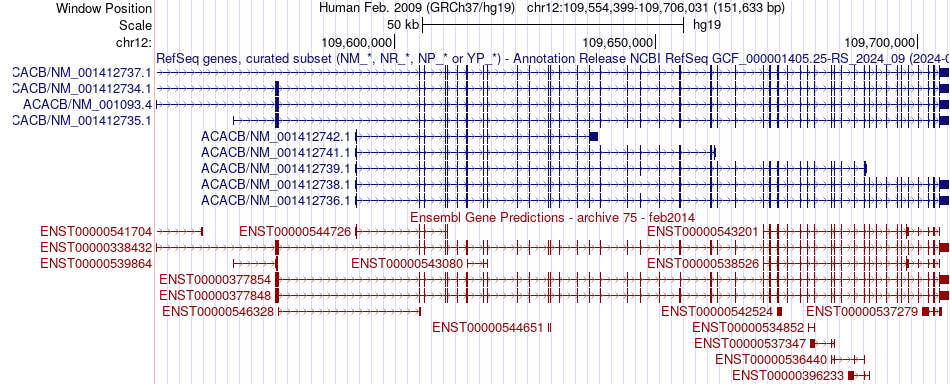 gene isoform structure of ACACB