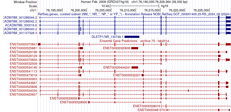 gene isoform structure of ACADM