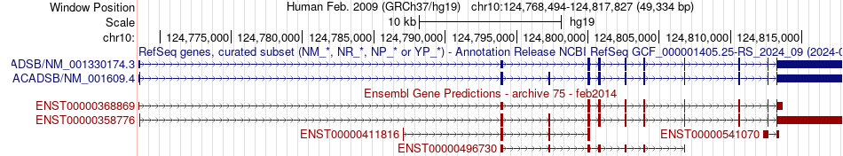 gene isoform structure of ACADSB