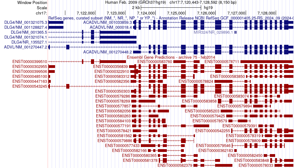 gene isoform structure of ACADVL