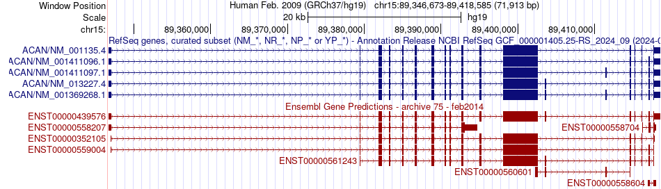 gene isoform structure of ACAN
