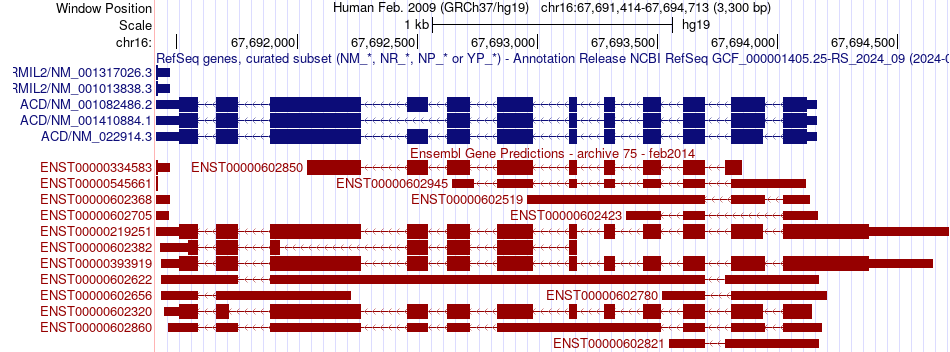 gene isoform structure of ACD