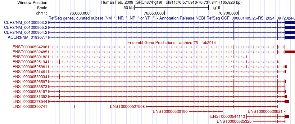 gene isoform structure of ACER3