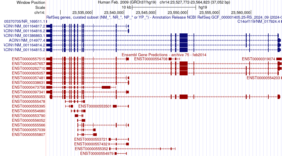gene isoform structure of ACIN1