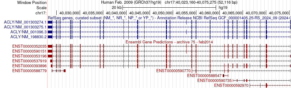 gene isoform structure of ACLY