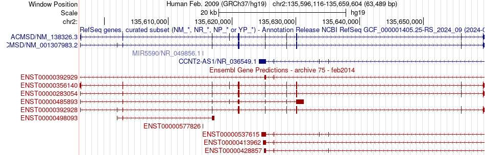 gene isoform structure of ACMSD