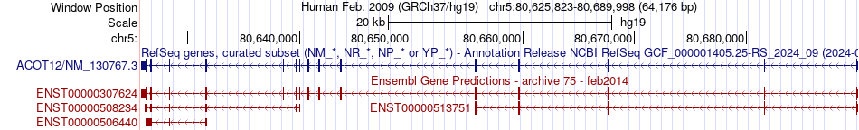 gene isoform structure of ACOT12