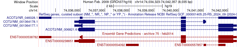 gene isoform structure of ACOT2