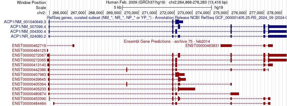 gene isoform structure of ACP1