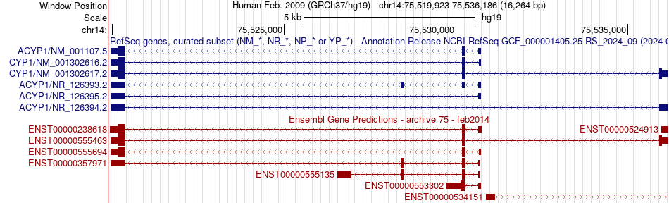gene isoform structure of ACYP1