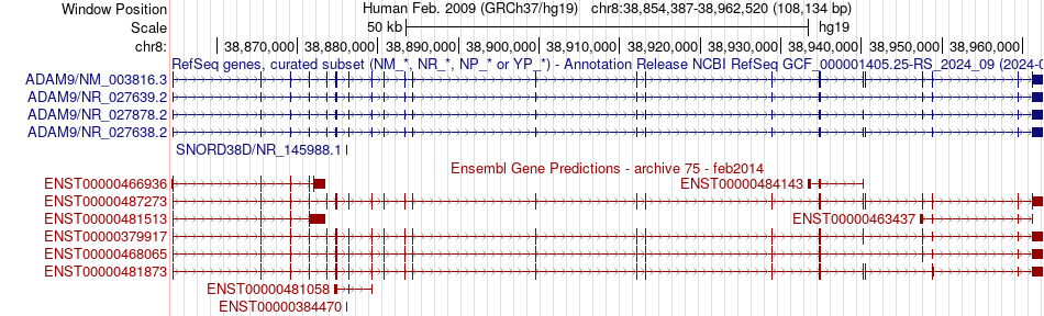 gene isoform structure of ADAM9
