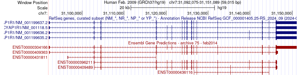 gene isoform structure of ADCYAP1R1
