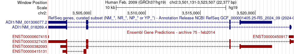 gene isoform structure of ADI1