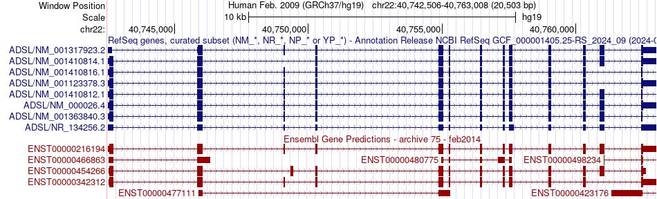 gene isoform structure of ADSL