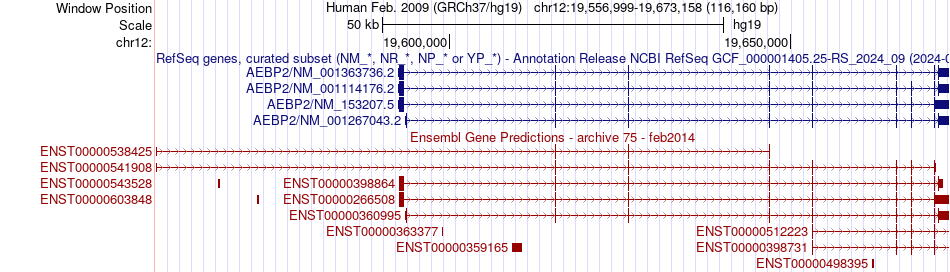 gene isoform structure of AEBP2