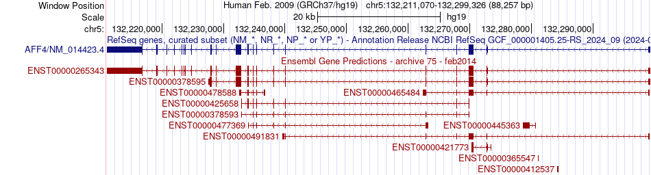 gene isoform structure of AFF4