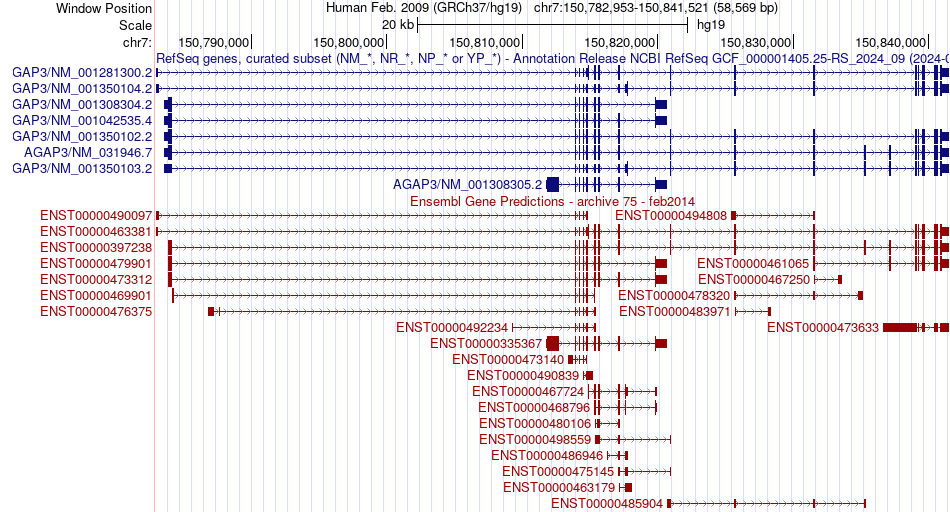 gene isoform structure of AGAP3
