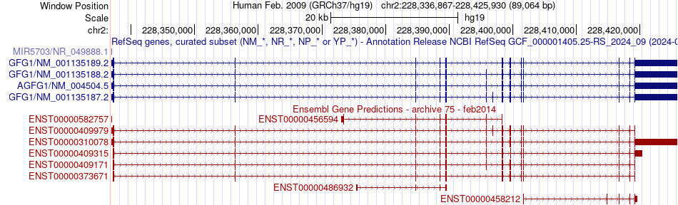 gene isoform structure of AGFG1