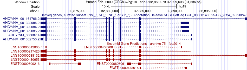 gene isoform structure of AHCY