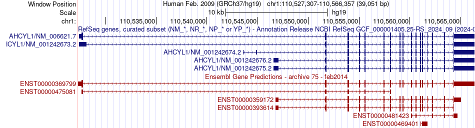 gene isoform structure of AHCYL1