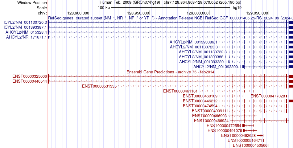 gene isoform structure of AHCYL2