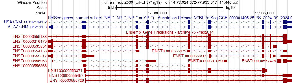gene isoform structure of AHSA1