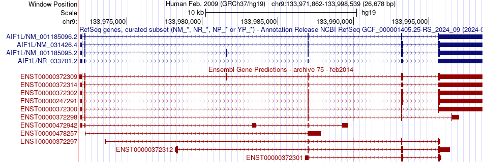 gene isoform structure of AIF1L