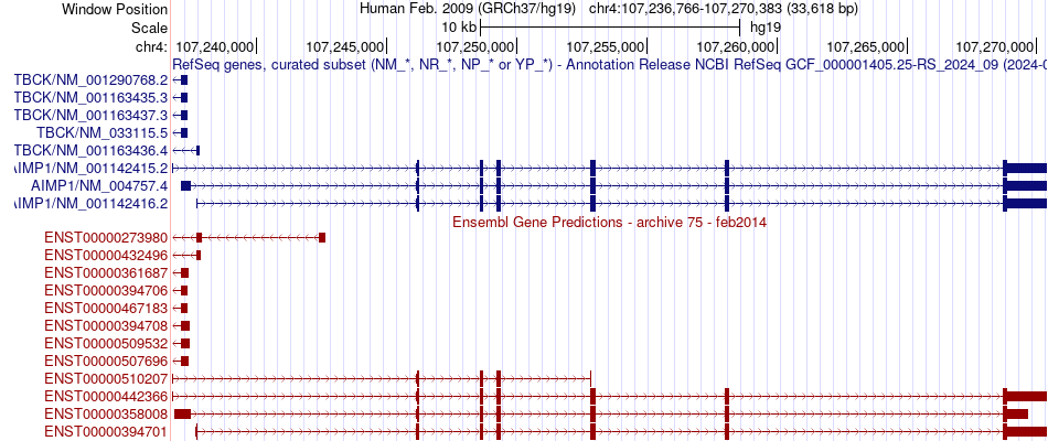 gene isoform structure of AIMP1