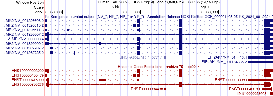 gene isoform structure of AIMP2