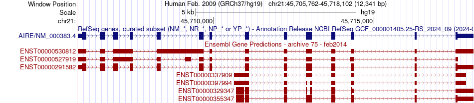 gene isoform structure of AIRE