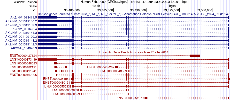 gene isoform structure of AK2