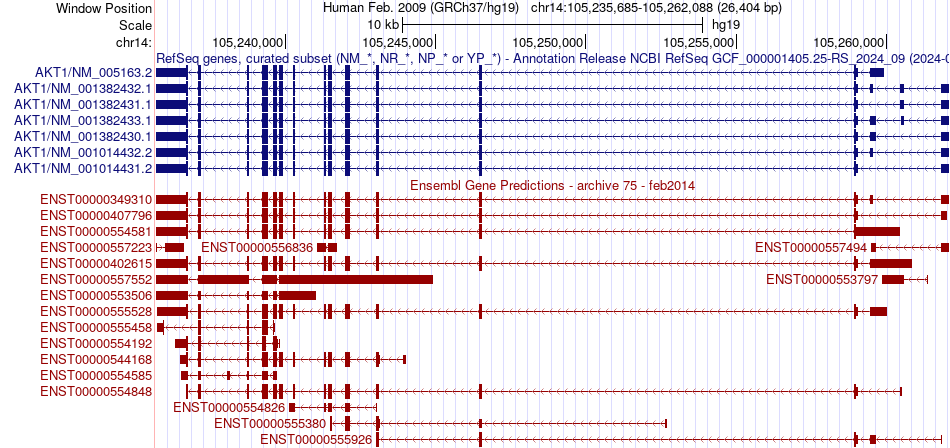 gene isoform structure of AKT1