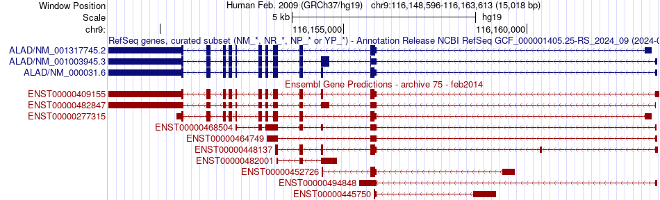 gene isoform structure of ALAD