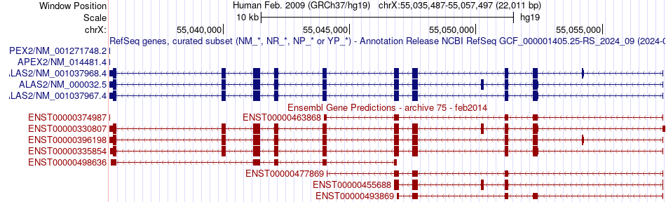 gene isoform structure of ALAS2