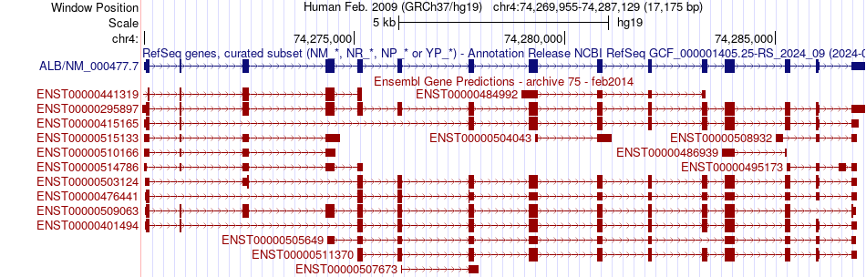 gene isoform structure of ALB