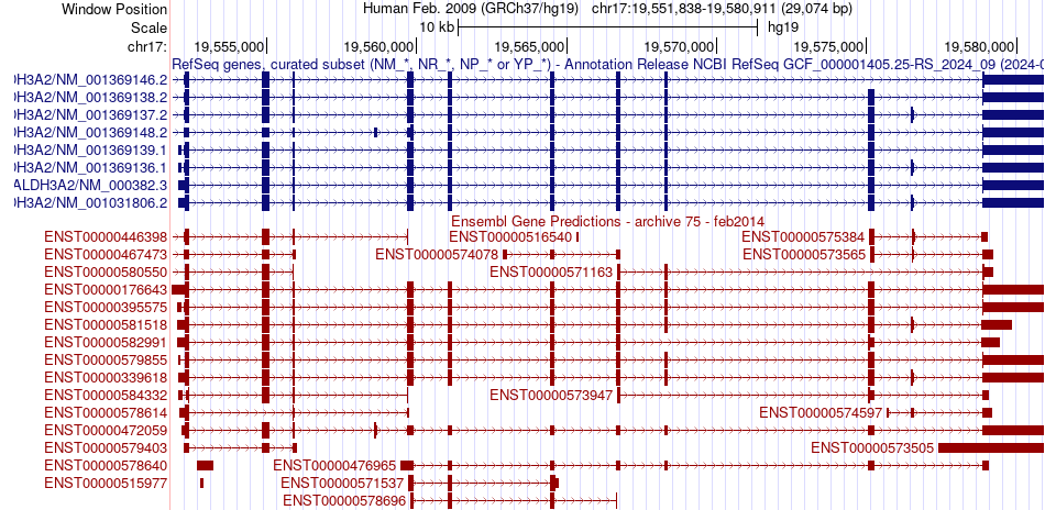 gene isoform structure of ALDH3A2