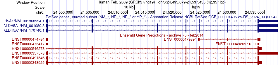 gene isoform structure of ALDH5A1