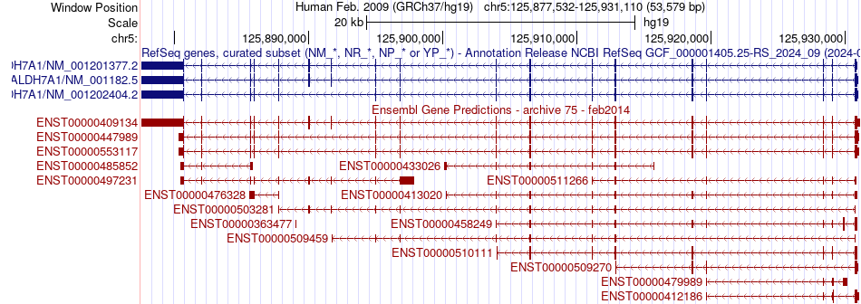 gene isoform structure of ALDH7A1