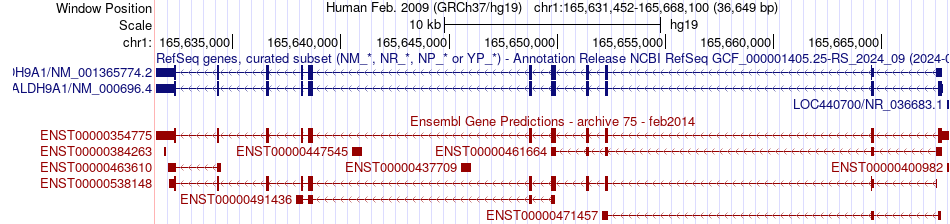 gene isoform structure of ALDH9A1