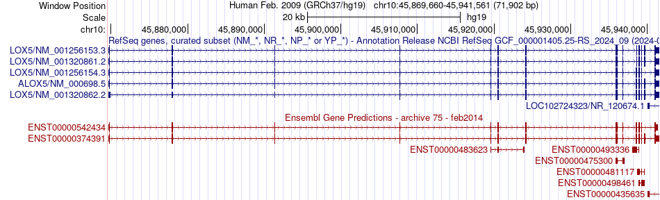 gene isoform structure of ALOX5