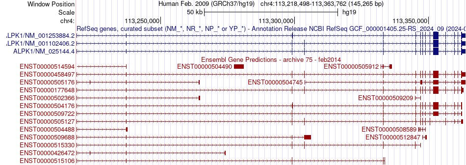 gene isoform structure of ALPK1