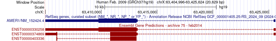 gene isoform structure of AMER1