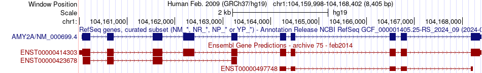 gene isoform structure of AMY2A