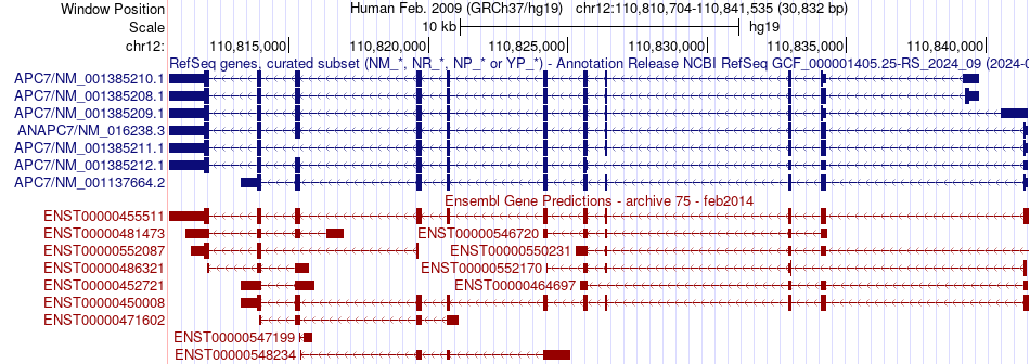 gene isoform structure of ANAPC7