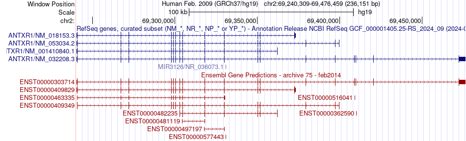 gene isoform structure of ANTXR1