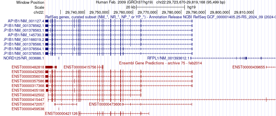 gene isoform structure of AP1B1